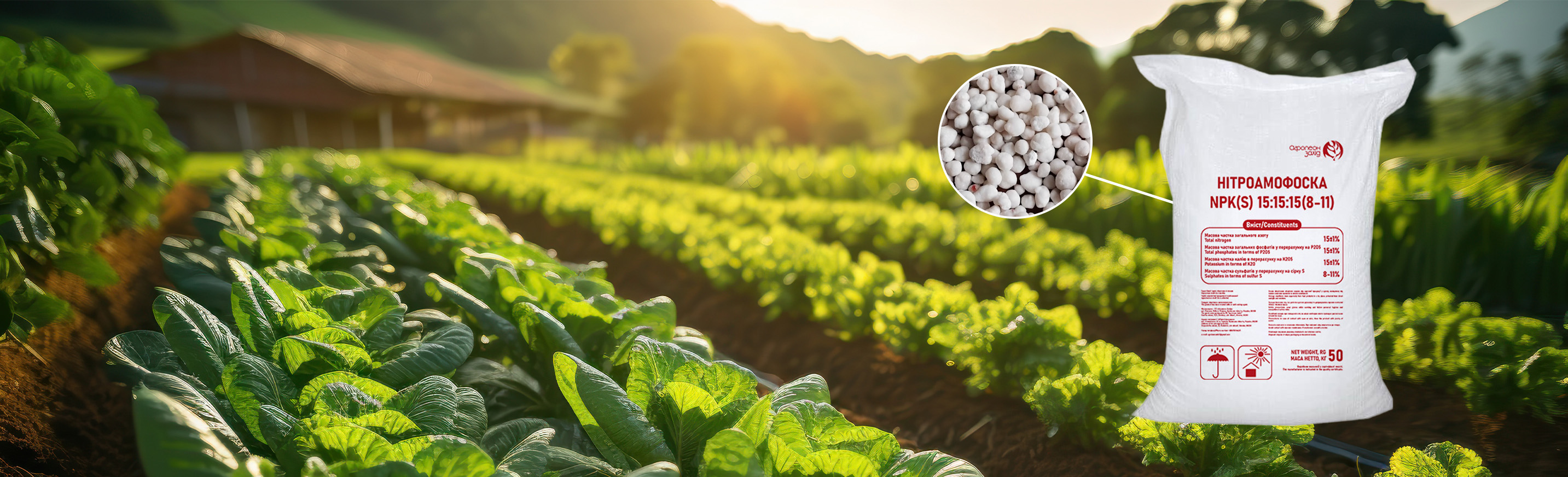 Нітроамофоска NPK 15:15:15+11S, 50 кг